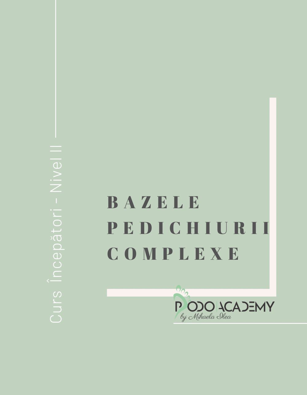 CURS BAZELE PEDICHIURII COMPLEXE – Nivel II