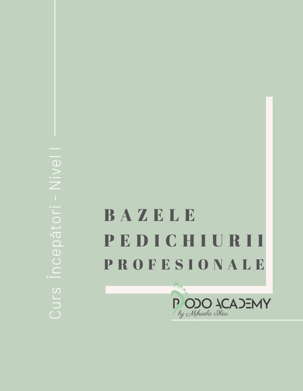 Curs BAZELE PEDICHIURII PROFESIONALE - Nivel I